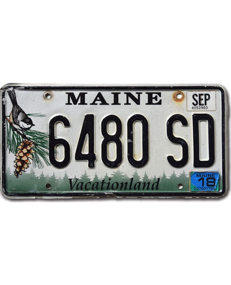 Tablica rejestracyjna USA Maine Chickadee 6480 SD