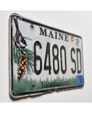 Americká SPZ Maine Chickadee 6480 SD