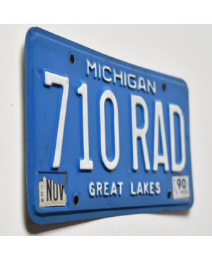 Tablica rejestracyjna USA Michigan Great Lakes 710 RAD