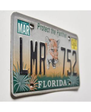Tablica rejestracyjna USA Florida Protect the Panther LMR 752