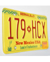 Tablica rejestracyjna USA New Mexico Enchantment 179 HCX