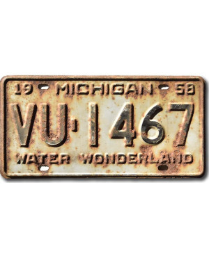 Tablica rejestracyjna USA Michigan 1958 Water Wonderland VU-1467