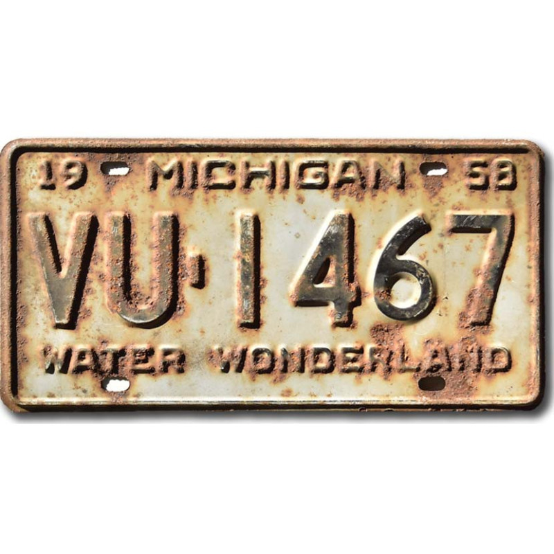 Tablica rejestracyjna USA Michigan 1958 Water Wonderland VU-1467