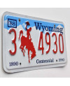 Tablica rejestracyjna USA Wyoming Bronco Centennial 3 4930