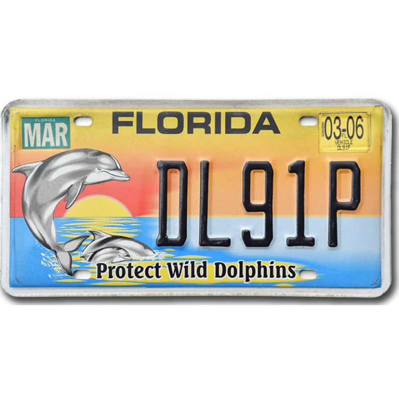 Tablica rejestracyjna USA Florida Protect Wild Dolphins DL91P