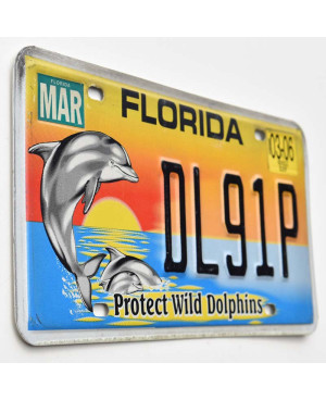Tablica rejestracyjna USA Florida Protect Wild Dolphins DL91P