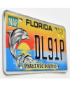 Tablica rejestracyjna USA Florida Protect Wild Dolphins DL91P