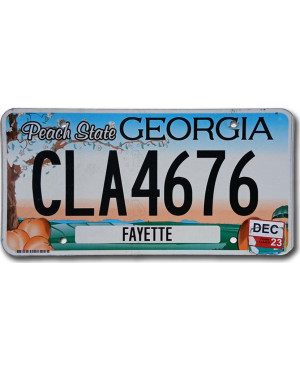 Tablica rejestracyjna USA Georgia Peach State
