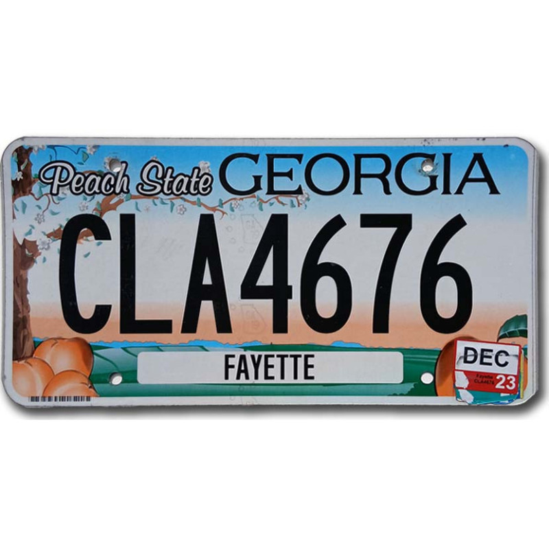 Tablica rejestracyjna USA Georgia Peach State