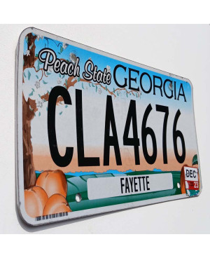 Tablica rejestracyjna USA Georgia Peach State