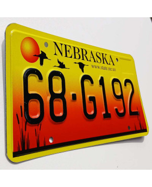 Tablica rejestracyjna USA Nebraska Sandhill Crane 68-G192