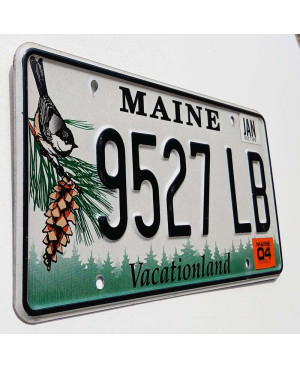 Tablica rejestracyjna USA Maine Chickadee 9527 LB