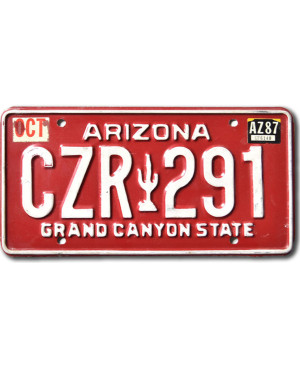 Tablica rejestracyjna USA Arizona Red Cactus CZR 291