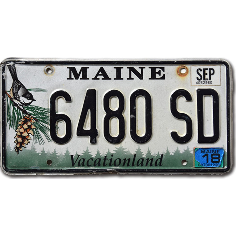 Tablica rejestracyjna USA Maine Chickadee 6480 SD