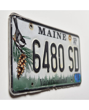 Tablica rejestracyjna USA Maine Chickadee 6480 SD