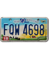 Tablica rejestracyjna USA Ohio Beautiful FQW 4698