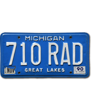 Tablica rejestracyjna USA Michigan Great Lakes 710 RAD