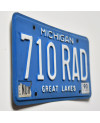 Tablica rejestracyjna USA Michigan Great Lakes 710 RAD