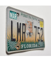 Tablica rejestracyjna USA Florida Protect the Panther LMR 752