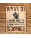 Plechová cedule Black Lab - Wanted Poster 32 cm x 40 cm w