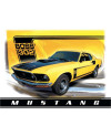 Plechová cedule Ford Mustang Boss 302 p
