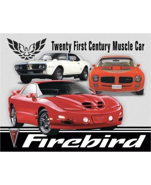 Tablica metalowa Pontiac Firebird Tribute 40 cm x 32 cm