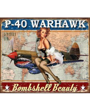 Tablica metalowa P-40 Warhawk 40 cm x 32 cm