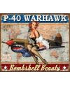 Tablica metalowa P-40 Warhawk 40 cm x 32 cm