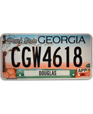 Tablica rejestracyjna USA Georgia Peach State