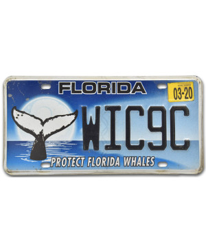 Tablica rejestracyjna USA Florida Protect Whales WIC9C