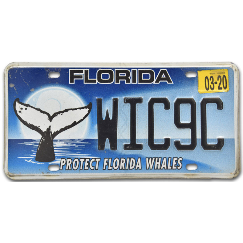 Tablica rejestracyjna USA Florida Protect Whales WIC9C