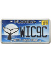Tablica rejestracyjna USA Florida Protect Whales WIC9C
