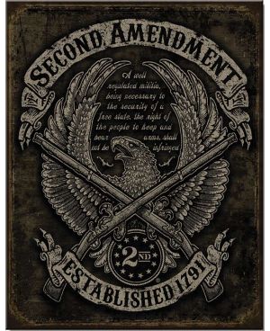 Tablica metalowa 2nd Amendment Eagle 32 cm x 40 cm