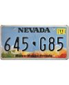 Tablica rejestracyjna USA Nevada Home Means