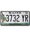 Tablica rejestracyjna USA Maine Chickadee 3732 YR