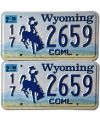 Tablica rejestracyjna USA Wyoming Coml 2659 para