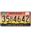 Tablica rejestracyjna USA Indiana Amber 35B4642