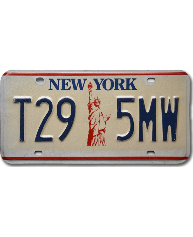 Tablica rejestracyjna USA New York Liberty T29-5MW