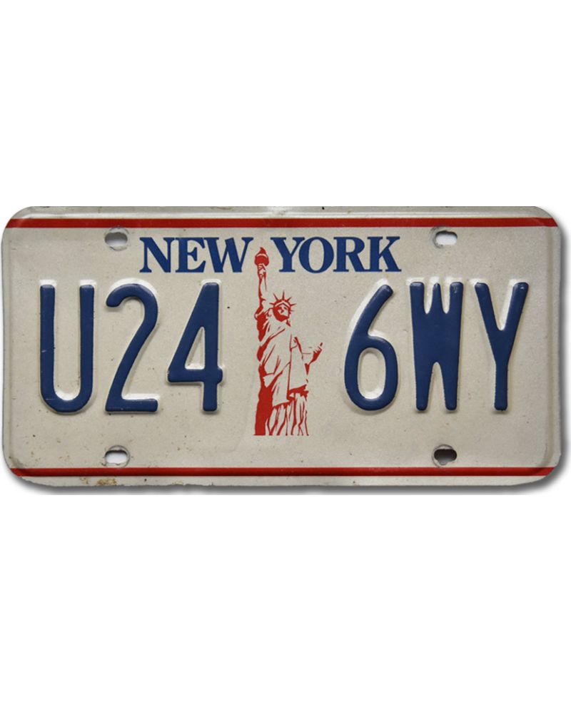 Tablica rejestracyjna USA New York Liberty U24 6WY