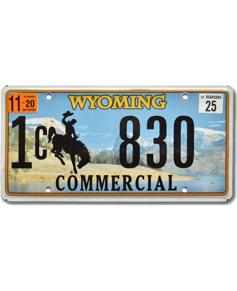 Tablica rejestracyjna USA Wyoming Country Commercial 1C 830