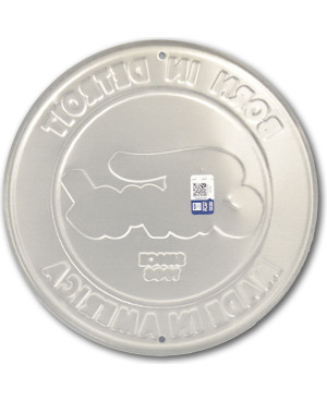 Tablica metalowa Ford Born in Detroit 30 cm